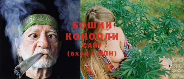 дживик Липки