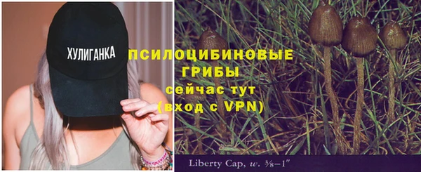 apvp Лихославль