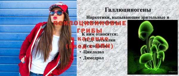 apvp Лихославль
