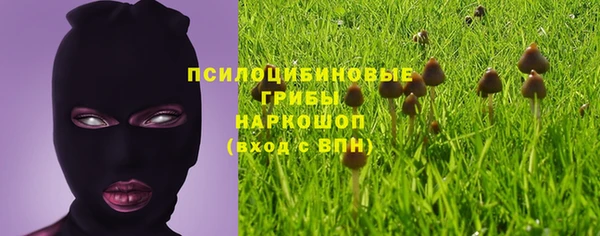 дживик Липки