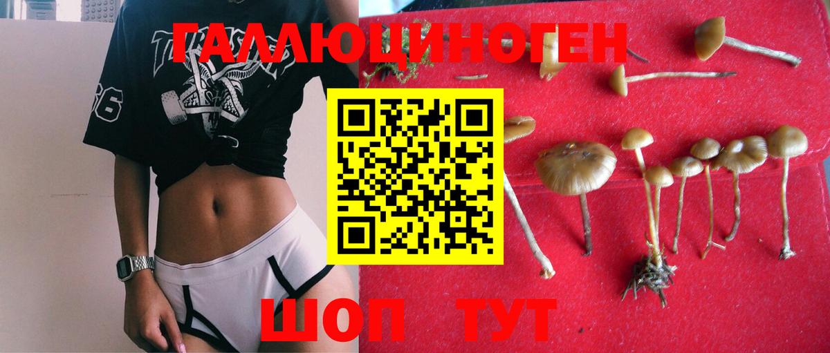 Псилоцибиновые грибы MAGIC MUSHROOMS  Вход с VPN  Камень-на-Оби  Псилоцибиновые грибы MAGIC MUSHROOMS 