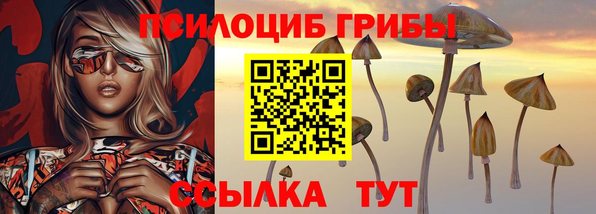 Галлюциногенные грибы MAGIC MUSHROOMS Камень-на-Оби